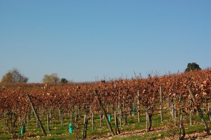 Waiting... wondering...