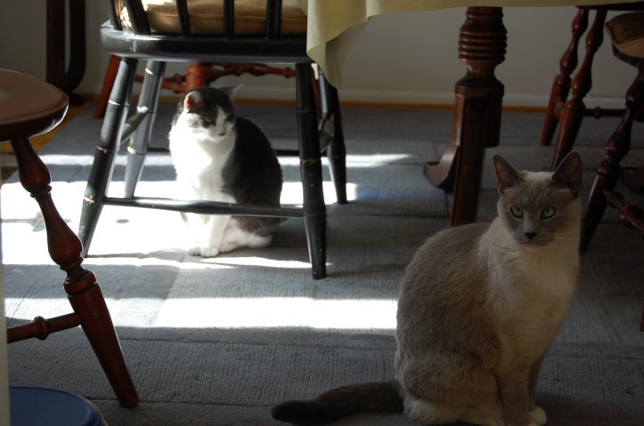 Quiet moments this morning...