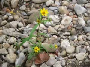 Patience and persistence Friday Five