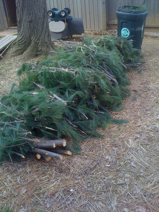 215883_10150223847701343_519556342_8796889_1940363_n