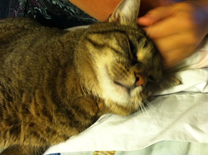 King Henry the First