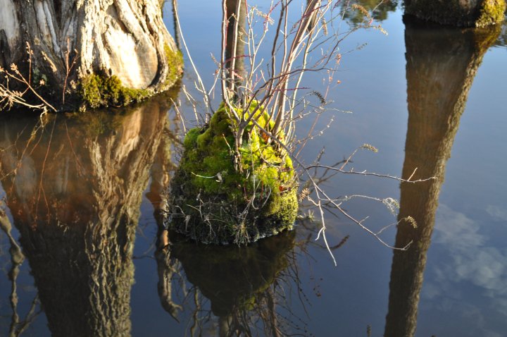 25005_376337896342_7625635_n