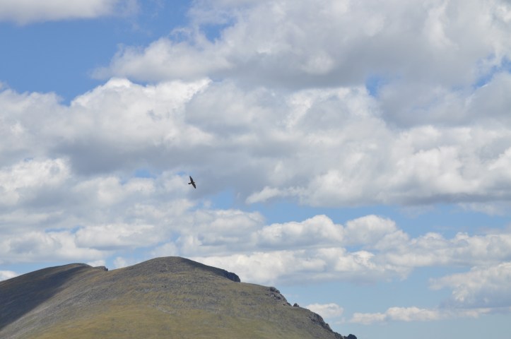 Riding on the Spirit's Wings