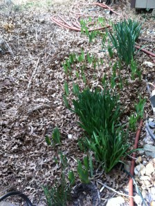 Time to do some puttering...