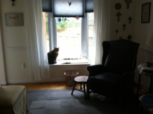 Henry, settling for the bay window while he waits for a lap.