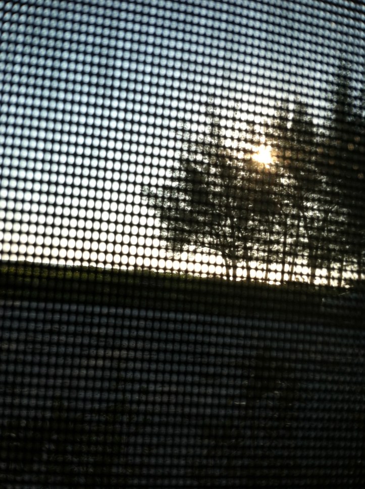 Missing the forest for the trees...