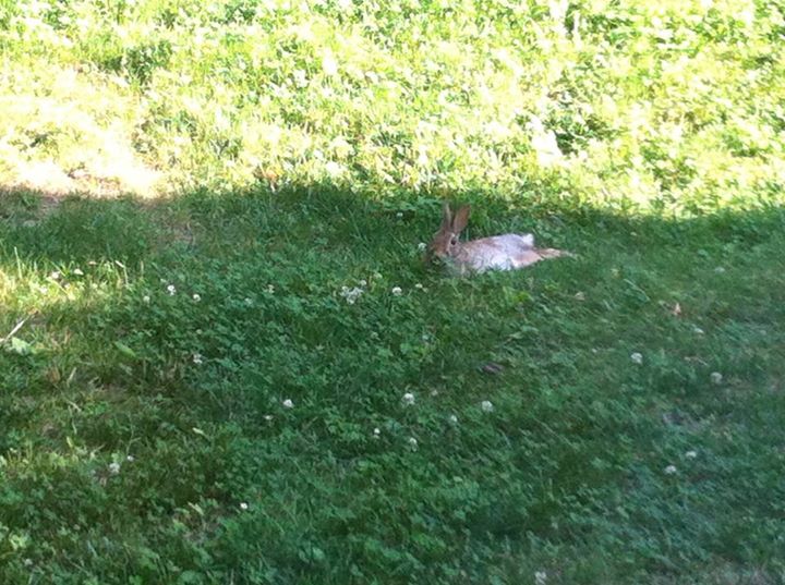 Did I mention it's HOT!???!