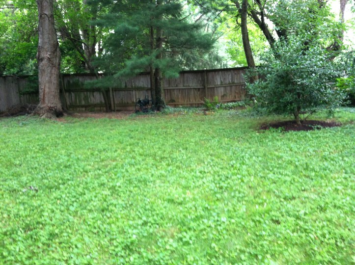 Future labyrinth site?