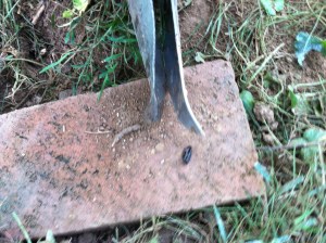 I can bend (cheap) steel!