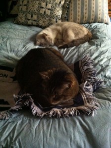 ALL shall be well...