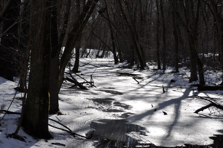 2014-02-22 CnO Canal 1