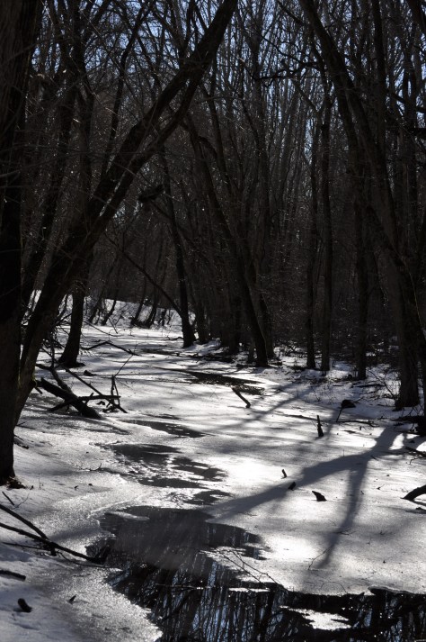 2014-02-22 CnO canal 2