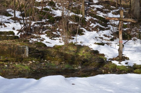 2014-02-22 shep spring2