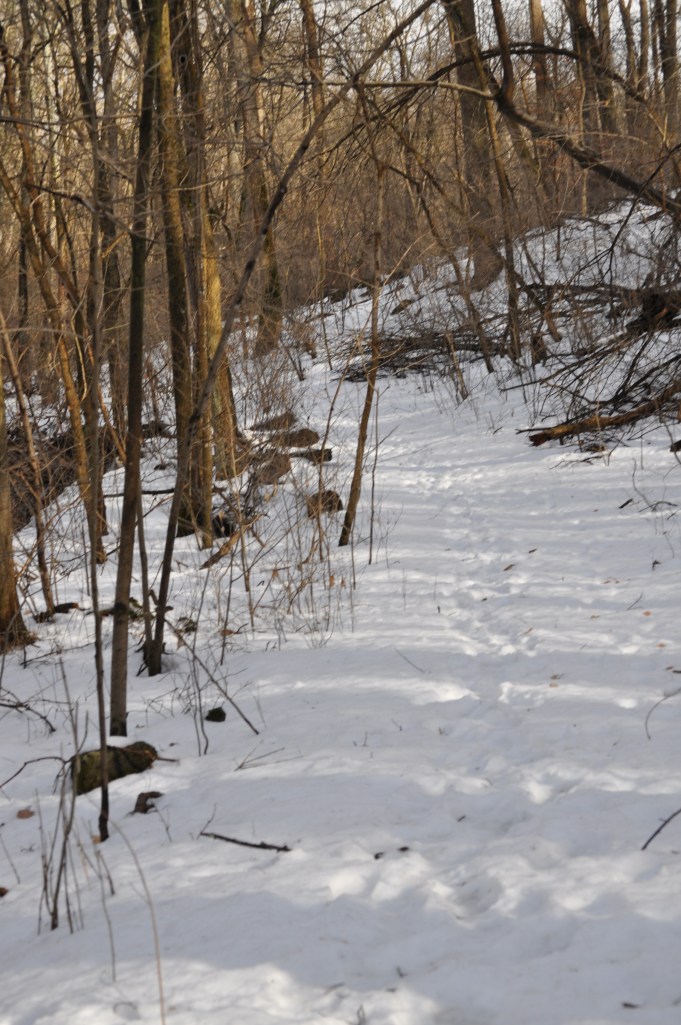 2014-02-22 trail