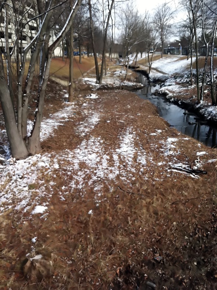 A stream at the Metro