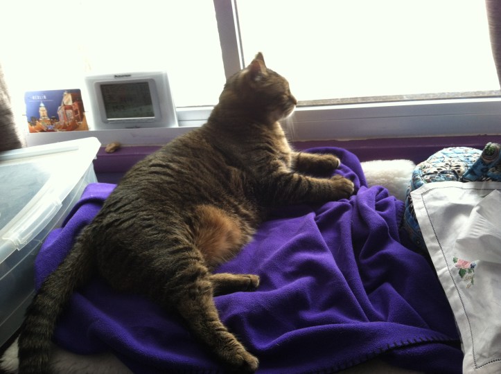 Watching expectantly