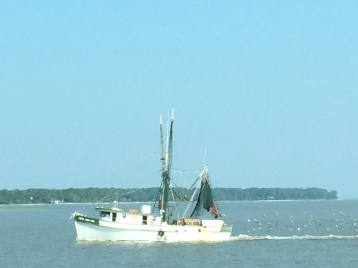 Shrimper coming in with a catch to St. Helena Island, SC