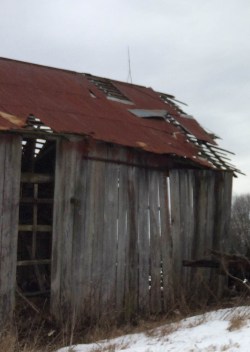 barn cropped