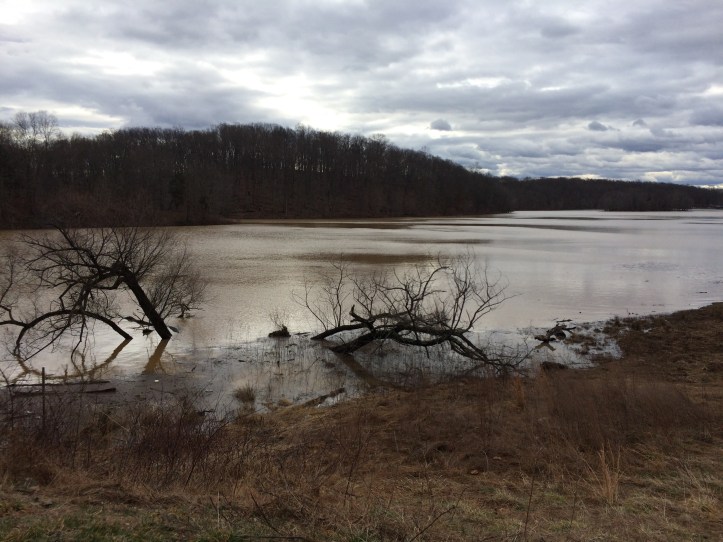 Lake Needwood, flooded. Photo credit: Rev. Deb Vaughn