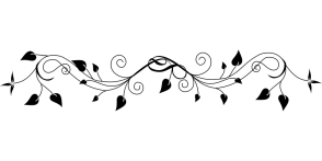 border-159926_960_720