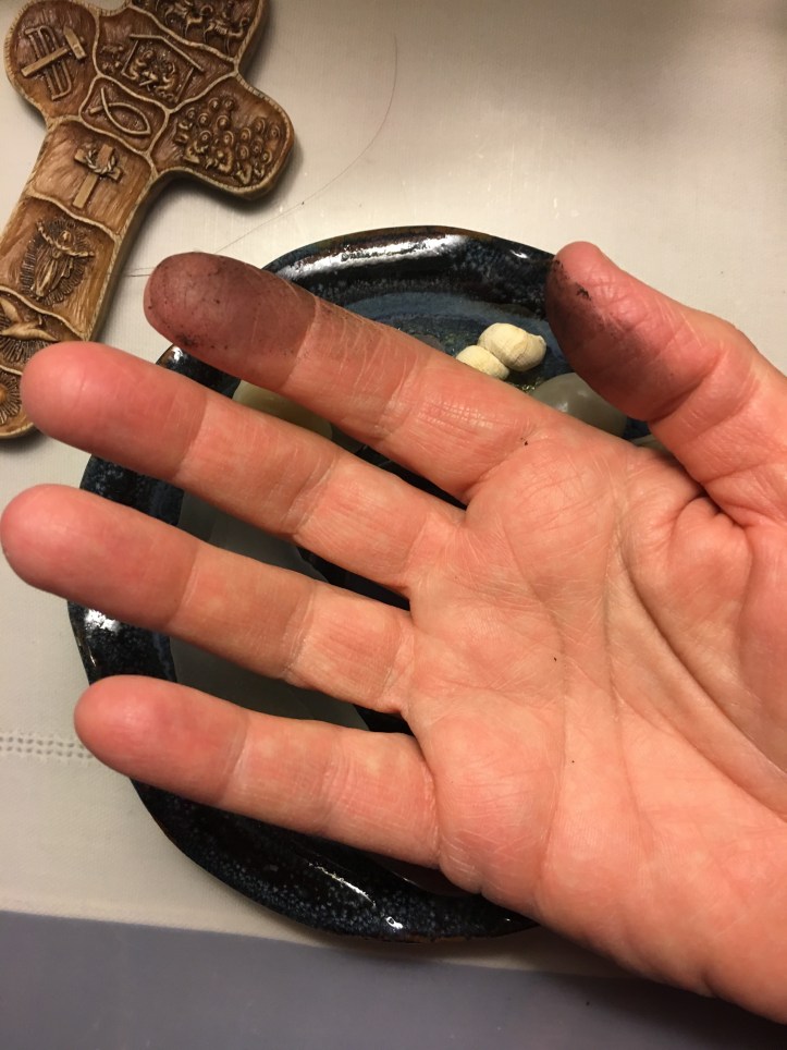 A woman pastor’s Hand with ground in ashes from Ash Wednesday 