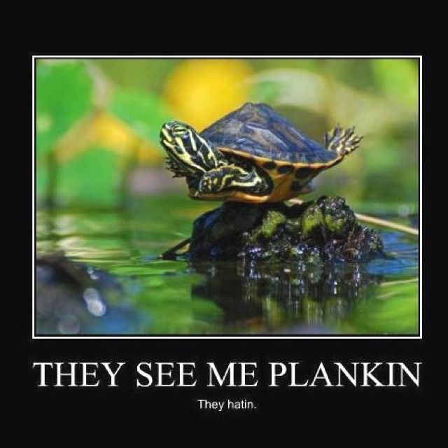 turtleplanking