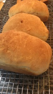 Freshly baked loaves of white bread