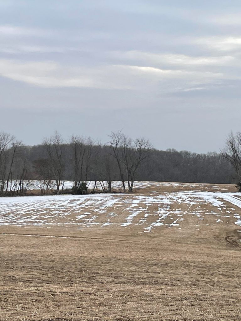 Winter field, barren, trees, snow and grey skies
